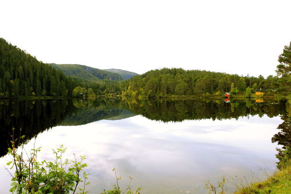 Massgeschneiderte Tour in und um Trondheim