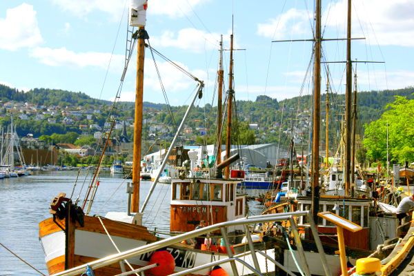Geniessen Sie eine geführte Tour entlang des Trondheim Kanalsystems