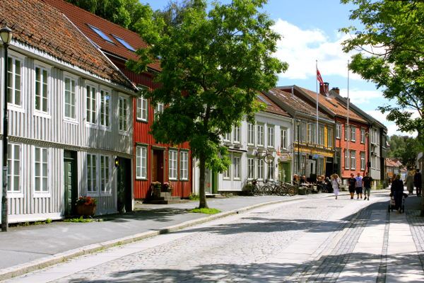 Explore the romantic, wooden houses in Bakklandet on the guided tour