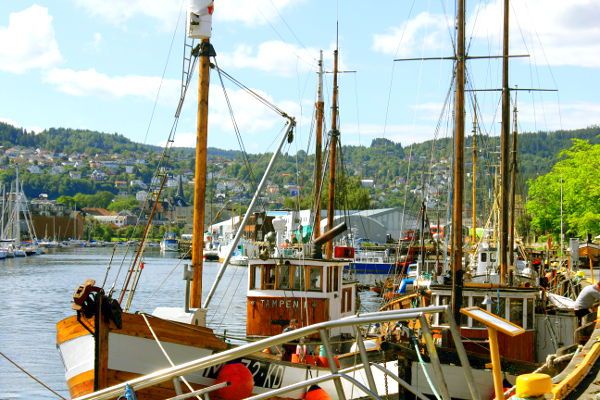 Enjoy the guided tour along Trondheims channel system